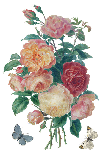 Saint Ouen 8x12” Transfer EIGHT Sheet Set by Iron Orchid Designs (IOD)