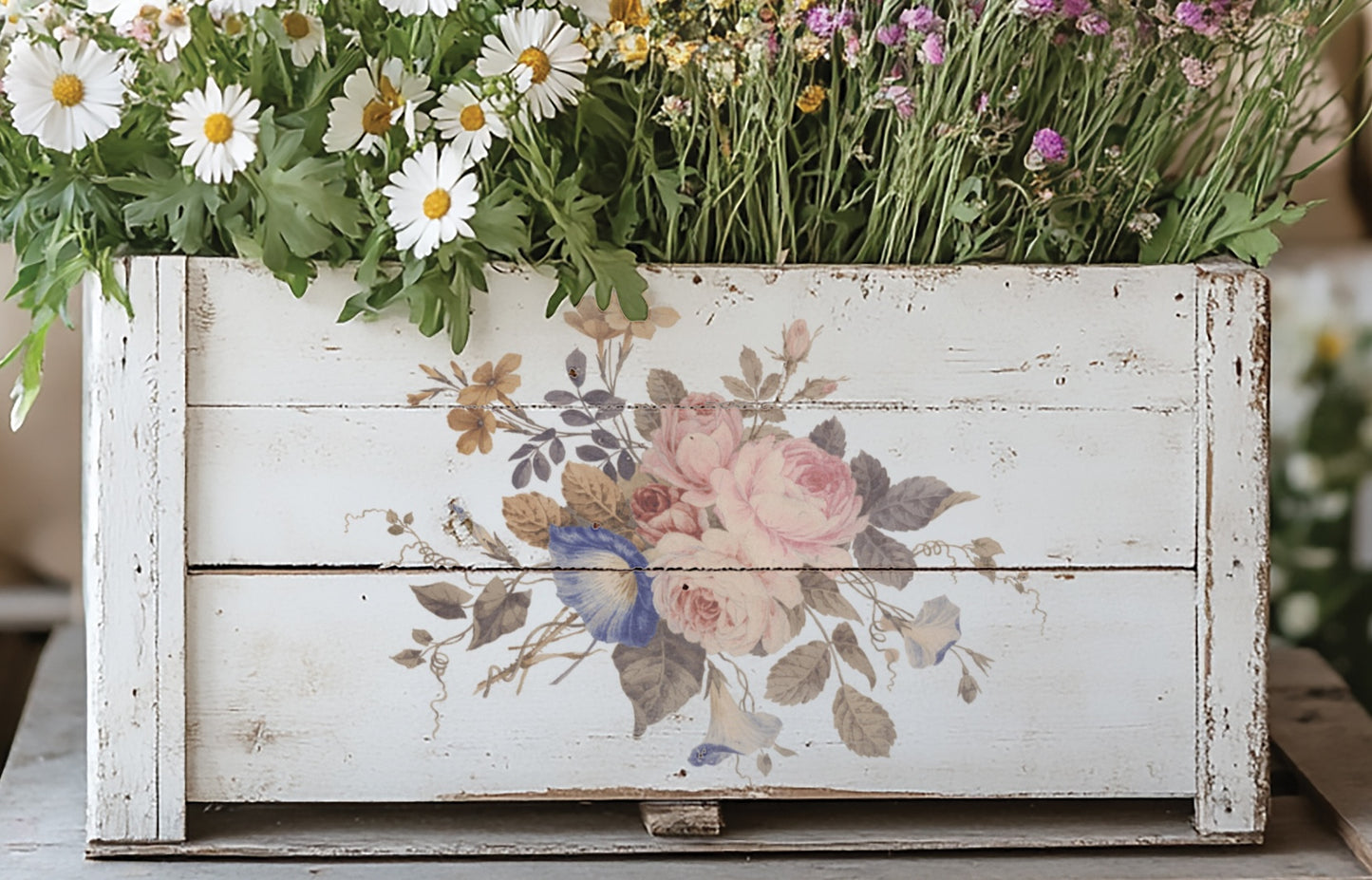 Saint Ouen 8x12” Transfer EIGHT Sheet Set by Iron Orchid Designs (IOD)