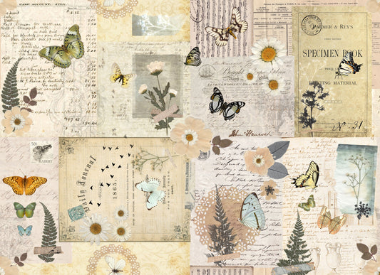 Pressed Flowers Masterboard 21x29" Decoupage Paper by Roycycled Treasures