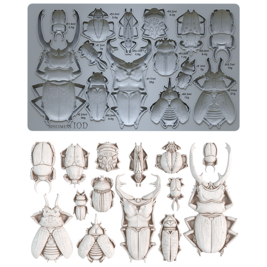 Specimens 6x10" Decor Mould by Iron Orchid Designs (IOD)