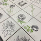 Chrysanthemum Decor Stamp