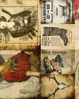 Cowgirl Project Blocks Decoupage Paper