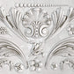 Acanthus Scroll 6x10 Decor Moulds