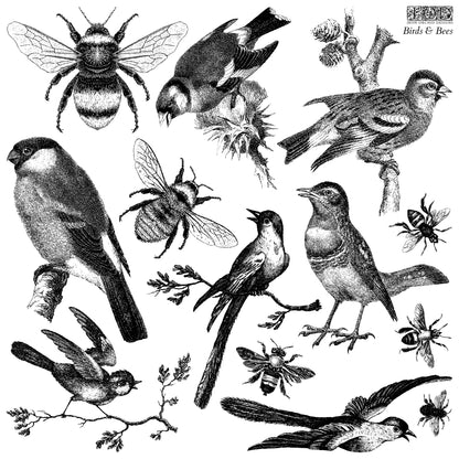 Birds & Bees 12x12" Decor Stamp by Iron Orchid Designs (IOD)