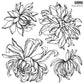 Chrysanthemum Decor Stamp