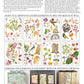 Whispering Willow IOD Transfer 12x16 Pad - 8 Sheets
