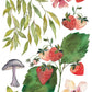 Whispering Willow IOD Transfer 12x16 Pad - 8 Sheets