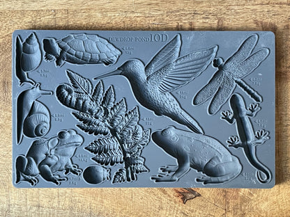 Dewdrop Pond 6x10" Decor Mould by Iron Orchid Designs (IOD)