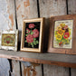 Ephemeral Mélange 8x12" Transfer Pad - Eight Sheet Set