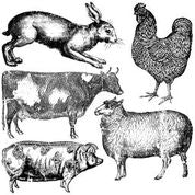 Farm Animals 12x12" Decor Stamp by Iron Orchid Designs (IOD)