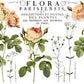 Flora Parisiensis 12x16 Transfer Pad