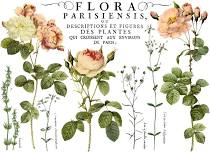Flora Parisiensis 12x16" Transfer Pad FOUR Sheet Set by Iron Orchid Designs (IOD)