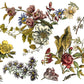 Floral Anthology 12 x 16" Transfer Pad