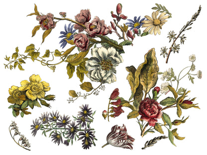 Floral Anthology 12x16" Transfer Pad FOUR Sheet Set by Iron Orchid Designs (IOD)