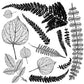 Fronds Decor Stamp 12 x 12"