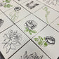 Chrysanthemum Decor Stamp