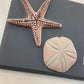Sea Shells 6 x 10" IOD Mould