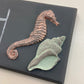 Sea Shells 6 x 10" IOD Mould