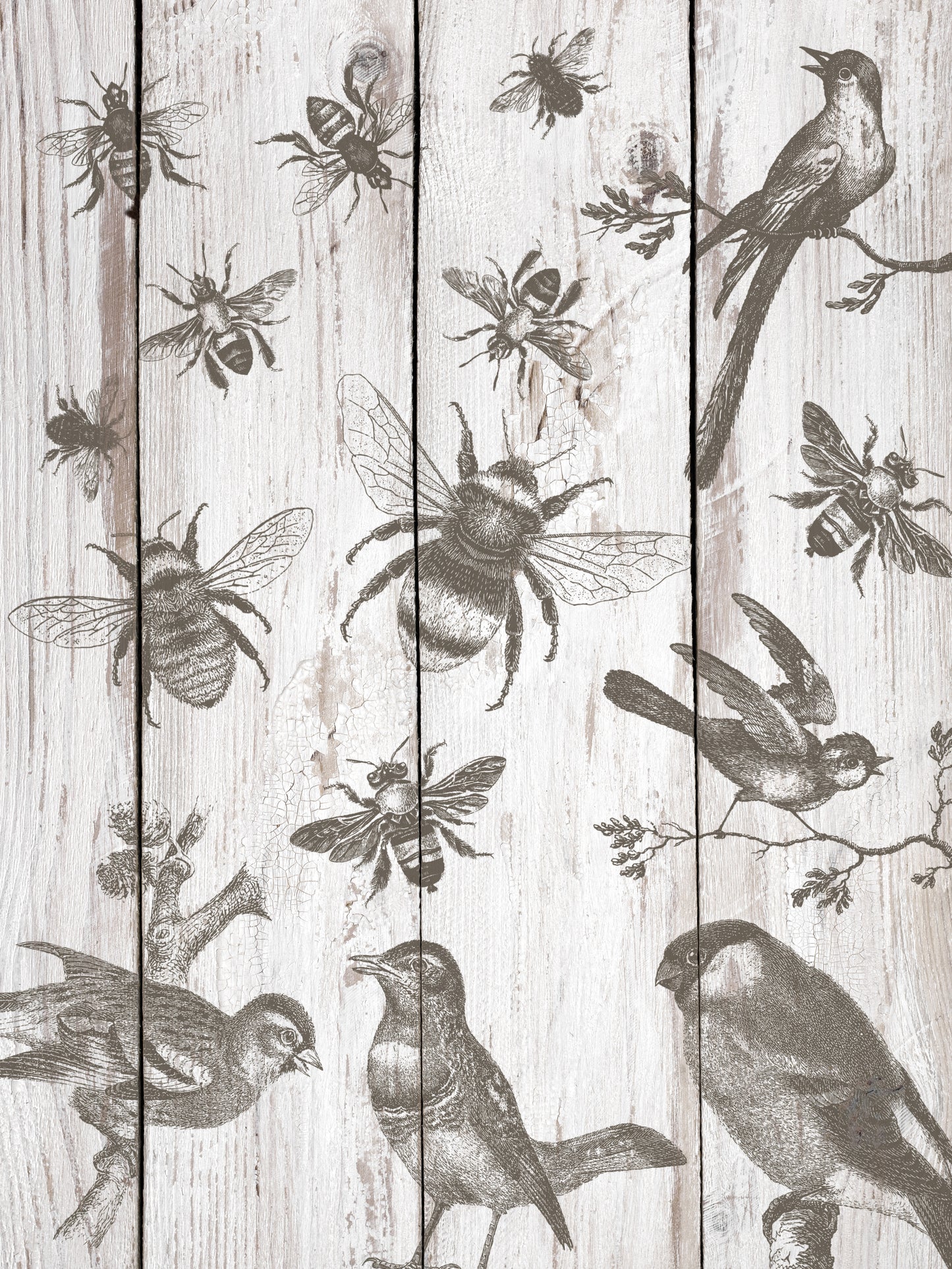 Birds & Bees 12x12 Decor Stamp *2023 New Release*