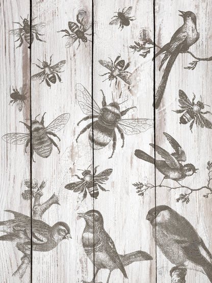 Birds & Bees 12x12" Decor Stamp by Iron Orchid Designs (IOD)