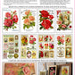 Ephemeral Mélange 8x12" Transfer Pad - Eight Sheet Set
