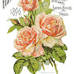Ephemeral Mélange 8x12" Transfer Pad - Eight Sheet Set