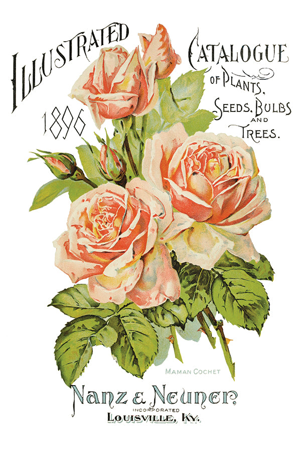 Ephemeral Mélange 8x12" Transfer Pad - Eight Sheet Set