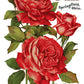 Ephemeral Mélange 8x12" Transfer Pad - Eight Sheet Set