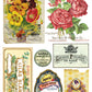 Ephemeral Mélange 8x12" Transfer Pad - Eight Sheet Set