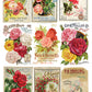 Ephemeral Mélange 8x12" Transfer Pad - Eight Sheet Set