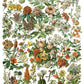 Millot's Pages12x16 Transfer Pad - Eight Sheet Set *2023 New Release*