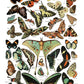 Millot's Pages12x16 Transfer Pad - Eight Sheet Set *2023 New Release*