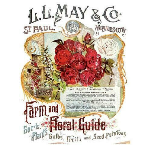 LL May 11x14" Decor Transfer by 1st Generation Iron Orchid Designs (IOD)