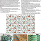 Paradise Paint Inlay