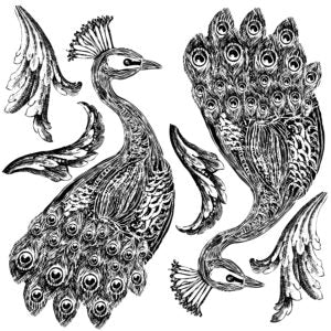 Pavo 12x12" Decor Stamp TWO Sheet Set by Iron Orchid Designs (IOD)
