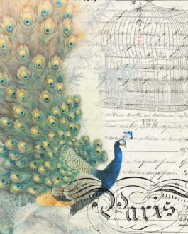 Peacock Ephemera Left 21x29" Decoupage Paper by Roycycled Treasures