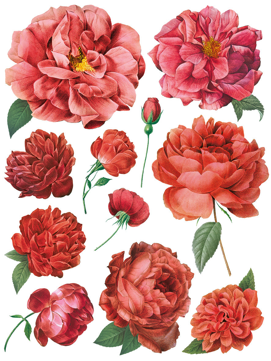 Redoute II 12 x 16" Transfer Pad
