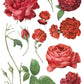 Redoute II 12 x 16" Transfer Pad