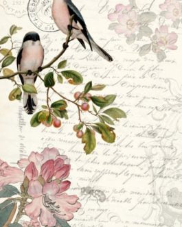 Spring Bird 21x29" Decoupage Paper by Roycycled Treasures