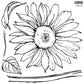 Sunflower Decor Stamp