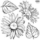 Sunflower Decor Stamp