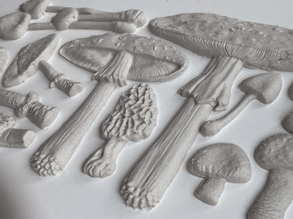 Toadstool 6x10 Decor Mould *2023 New Release*