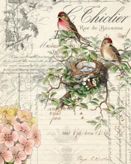 Bird Ephemera Decoupage Paper